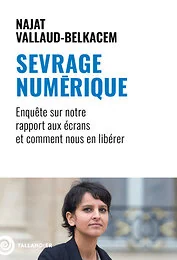 Sevrage numérique