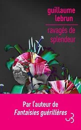 Ravagés de splendeur