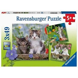 3 Puzzles 49 pièces Chatons tigrés
