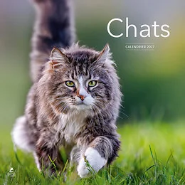 Calendrier 2027 Chats