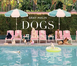 Dogs