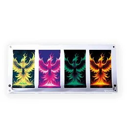 Protection acrylique pour 4 boosters Pokémon Phoenix Shield
