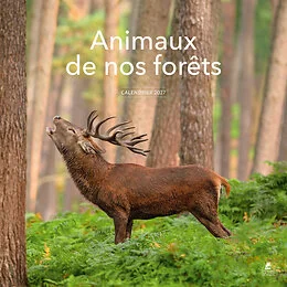 Calendrier 2027 Animaux de nos forêts