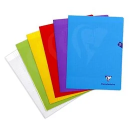Cahier Mimesys 24 x 32 cm 48 pages Séyès Clairefontaine Coloris Aléatoire