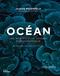 Océan