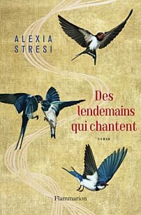 Prix Maison de la Presse 2022 Sophie de Baere pour Les Ailes Collées